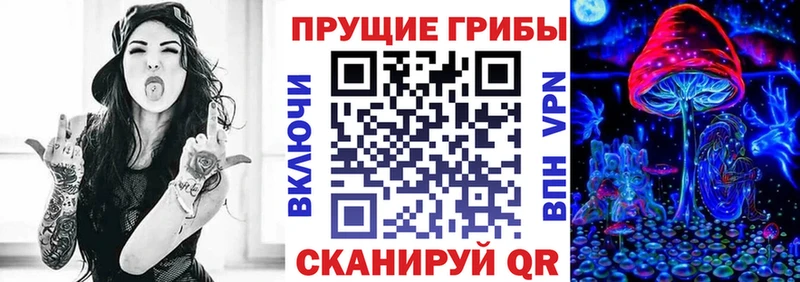 Псилоцибиновые грибы MAGIC MUSHROOMS  mega ССЫЛКА  Завитинск 